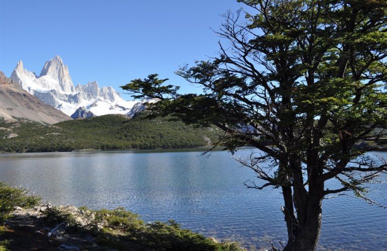 Patagonia Ice Trek - Expedition