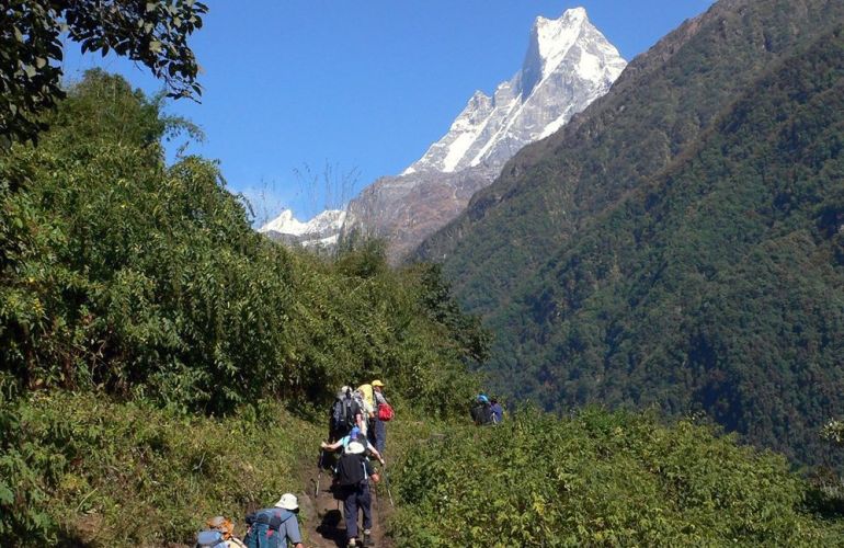 Annapurna Community Lodge Trek