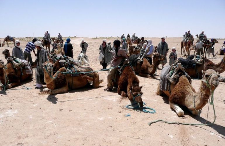 Morocco - Fez to Marrakech