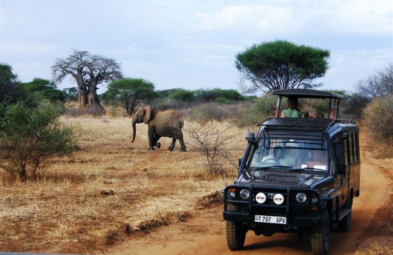 Tanzanian Culture and Wildlife Adventure