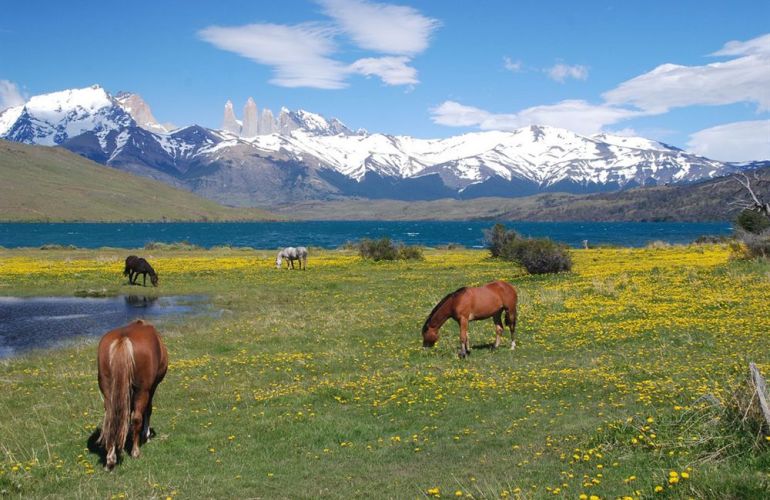 Chile/Argentina | Patagonia