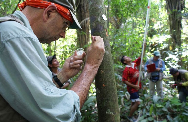 Amazon Riverboat Adventure: 9-Day River Cruise & Wildlife Adventure