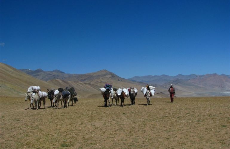 The Kingdom of Mustang 