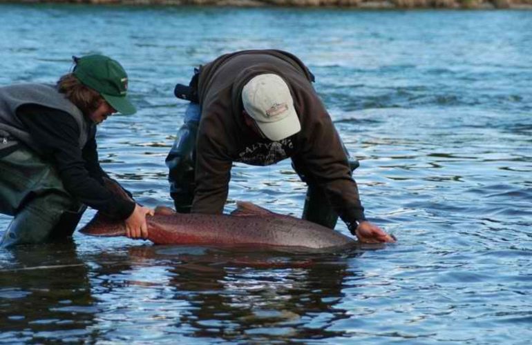Executive Fishing and Wildlife Safari