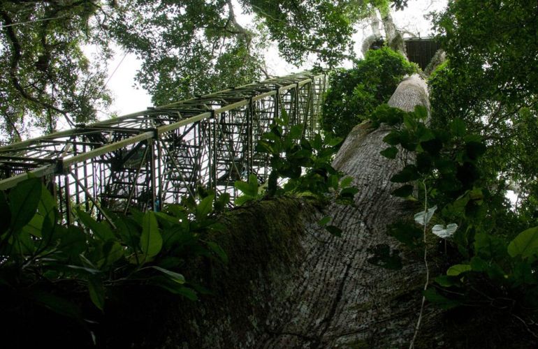 Spend 5 Days Exploring the Amazon of Ecuador