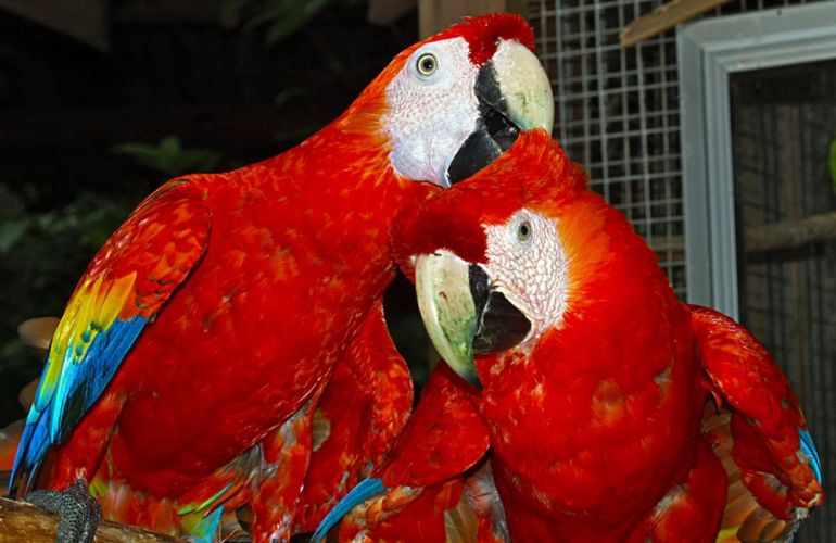 12-Day Cultural & Walking Adventure in Guatemala