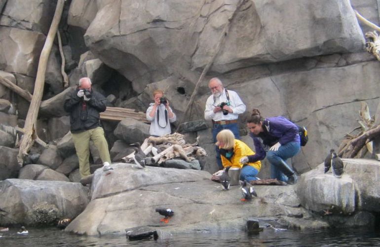 Alaska's Kenai Peninsula Adventure