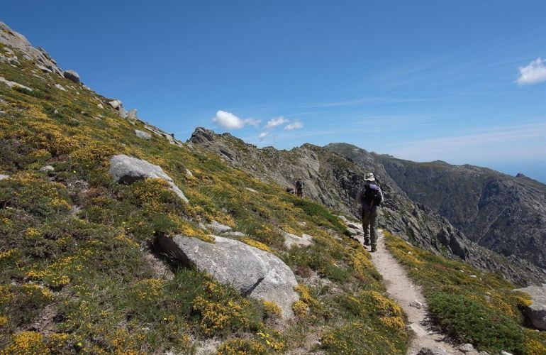 Mont Blanc Classic Walks