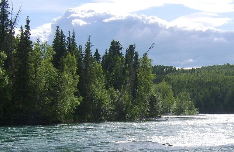 Alaska Family Fishing Adventure