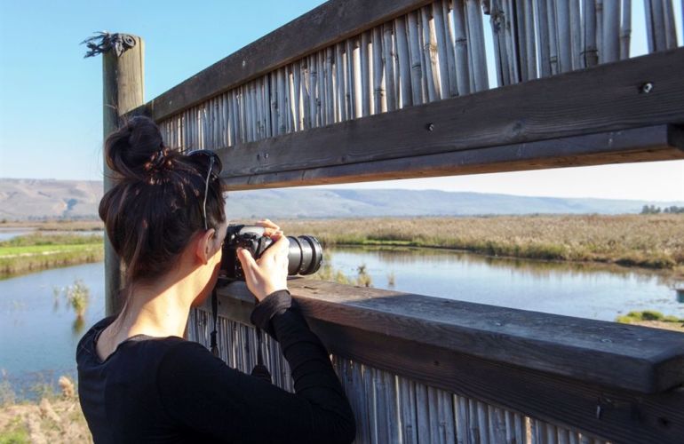 Search out and photograph diverse wildlife in Tarangire Safari Experience
