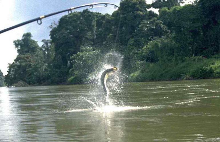 Best of Costa Rica