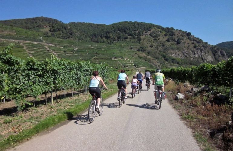 8 Days Exploring Passau to Vienna - Danube Cycle(Self guided)