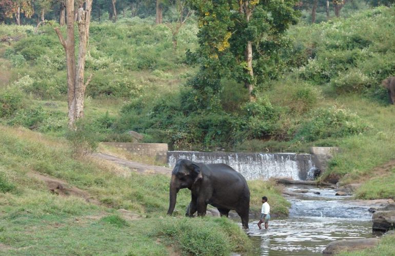 Southern India In Depth: 18-Day Ethnic and Cultural Adventure