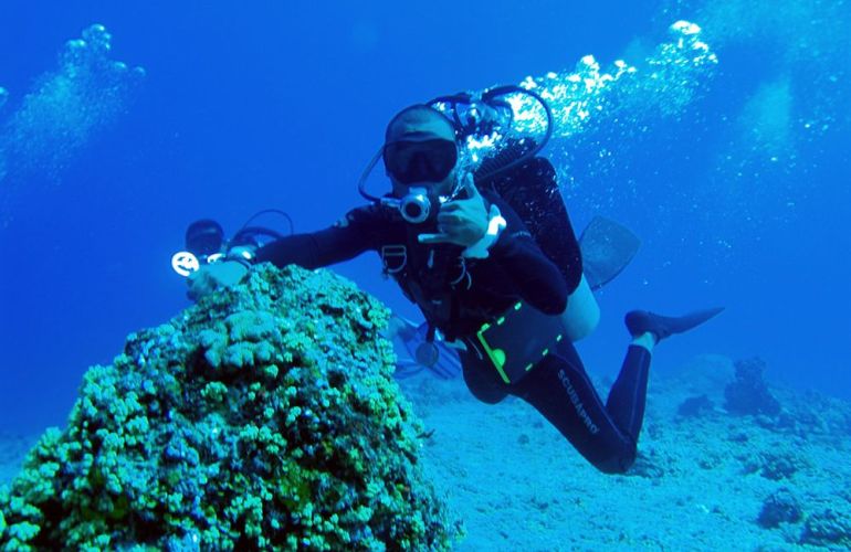Palau Snorkeling and Sea Kayaking: Experience the Natural History Paradise of the Rock Islands