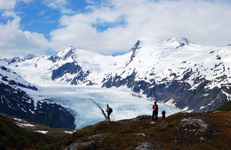 Alaska & Yukon Northern Experience
