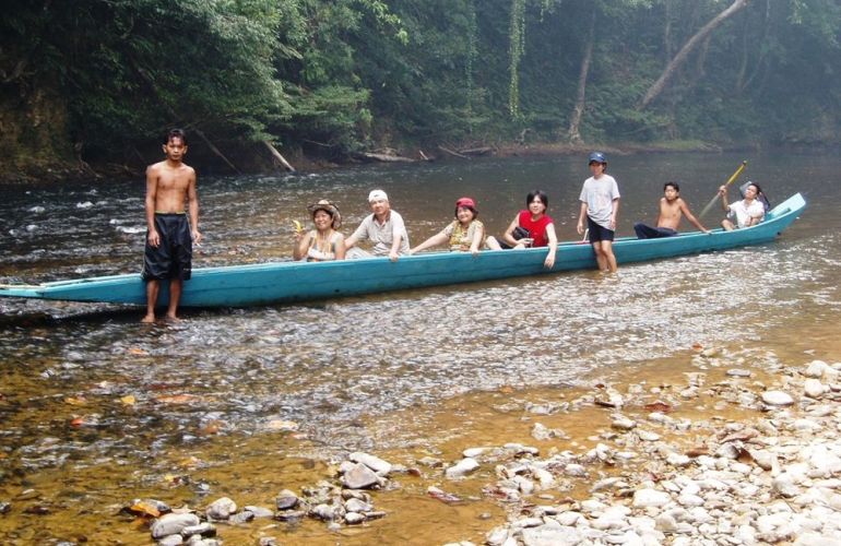 Borneo - Into the Heart of the Rainforest