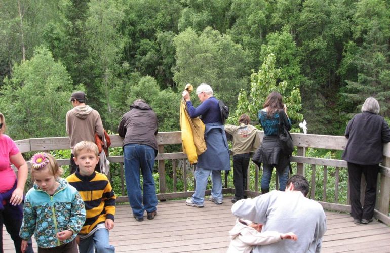 Alaska Family | Kenai Peninsula