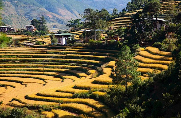 Visit the Incredible Kingdom of Bhutan