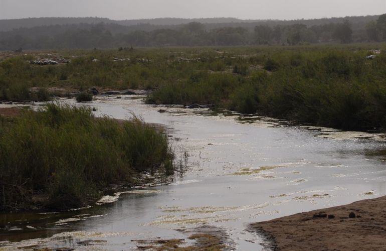 South African Safari and Victoria Falls