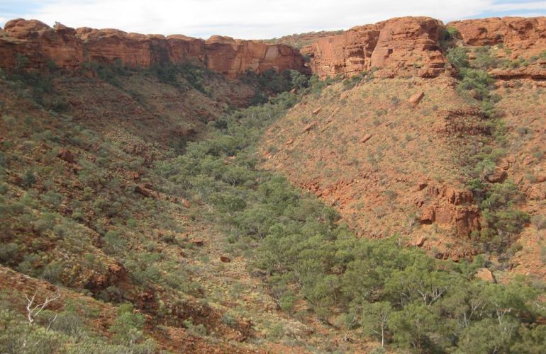 Central Australia Outback Odyssey Through the Northern Territory