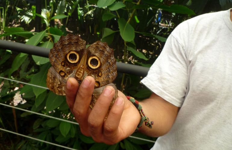 Classic Costa Rica Adventure in 9 Days