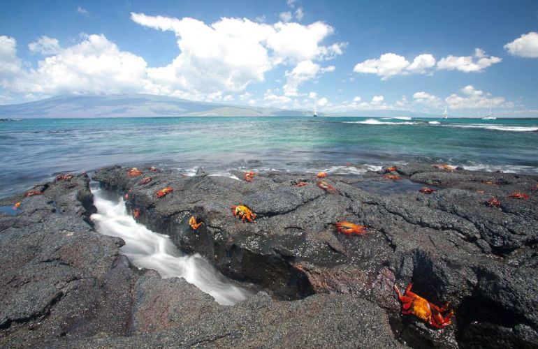 Galápagos Islands Sailing and Multi-Sport Adventure