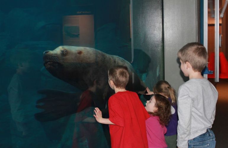 Alaska's Kenai Peninsula Adventure