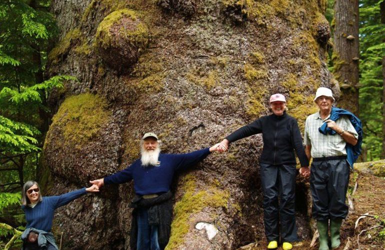 Sail to Haida Gwaii and Queen Charlotte Islands - Island Odyssey 8 Days