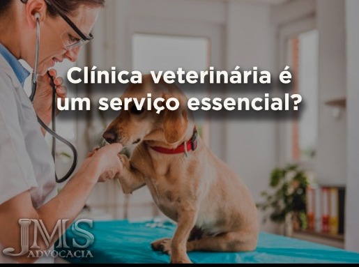 Justiça entende que veterinário não é serviço essencial
