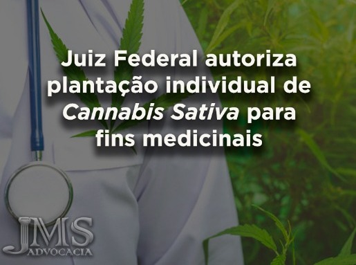 Decisão Inédita sobre Cannabis Sativa