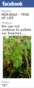 Facebook Moringa Fan page