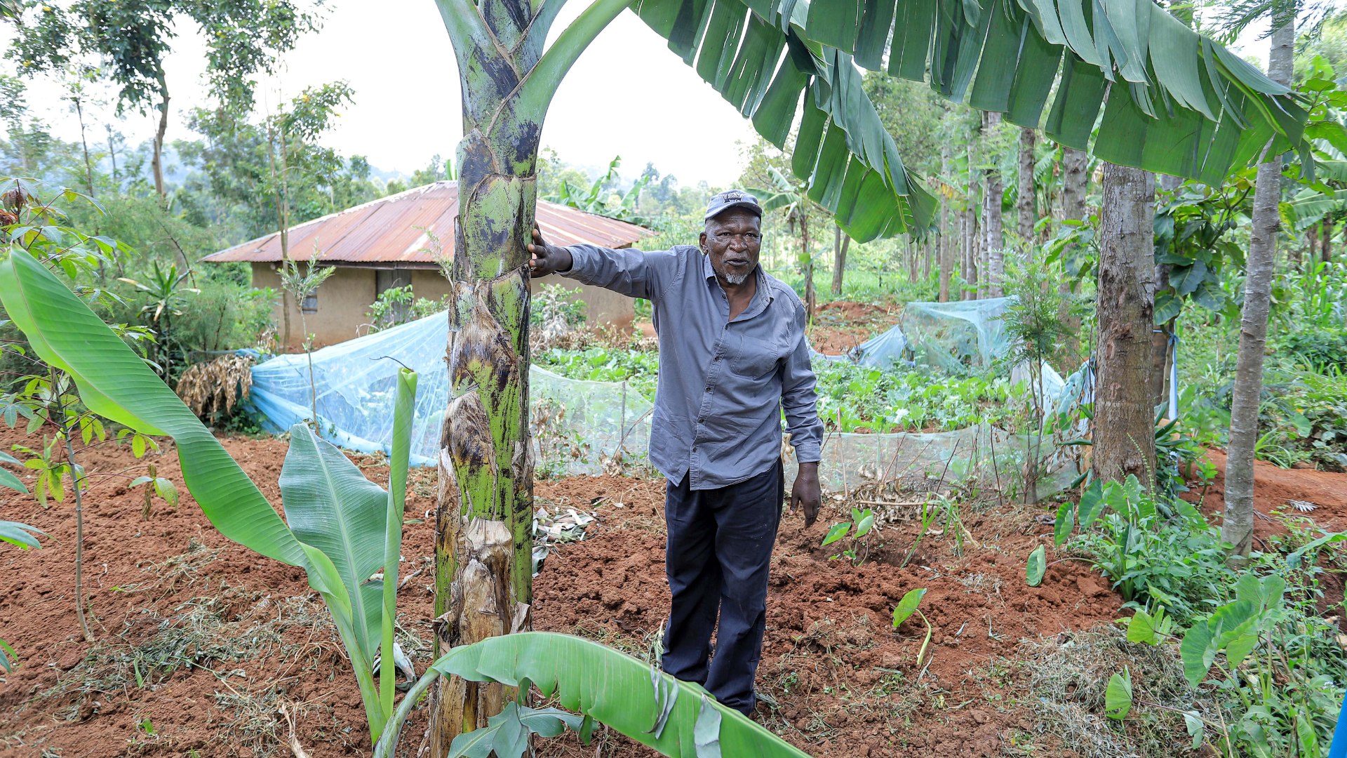 Sustainable Farming
