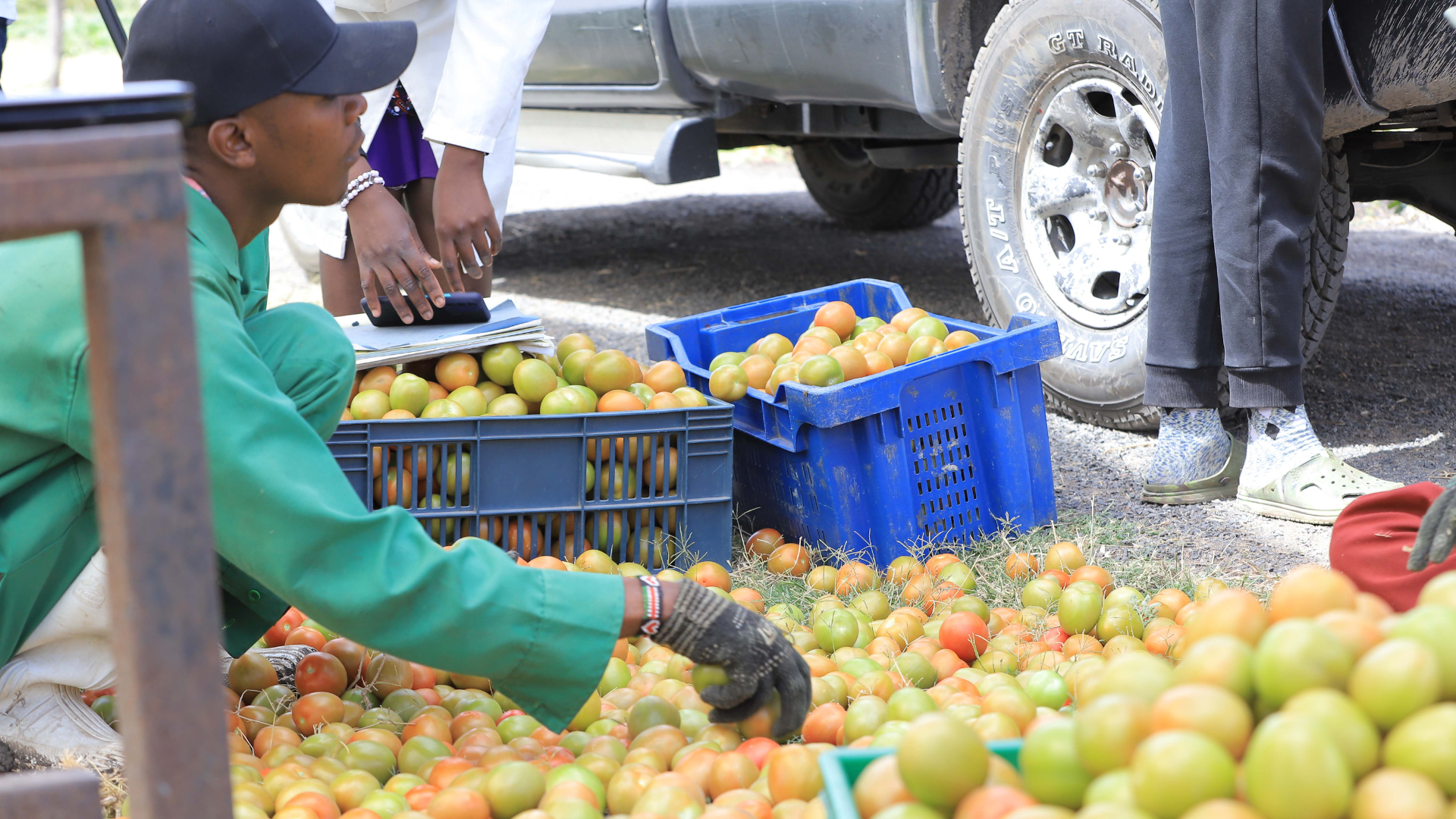 Post Harvest Losses Management