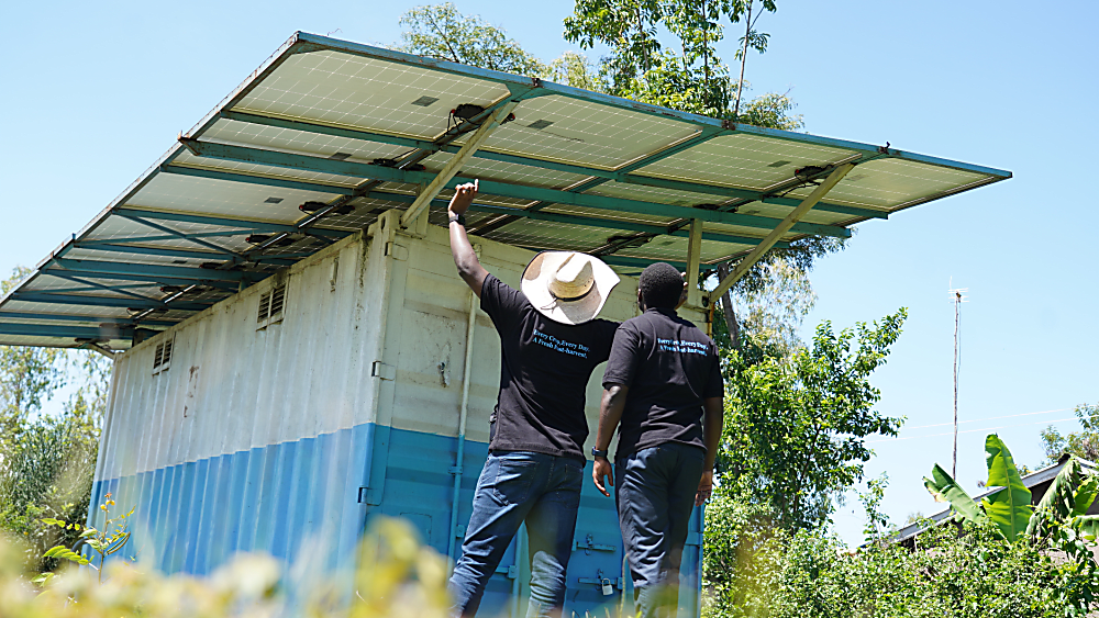 Embracing the Green Revolution in Agriculture