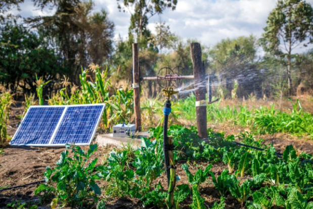 How Green Energy Can Help Agriculture Weather the Climate Storm