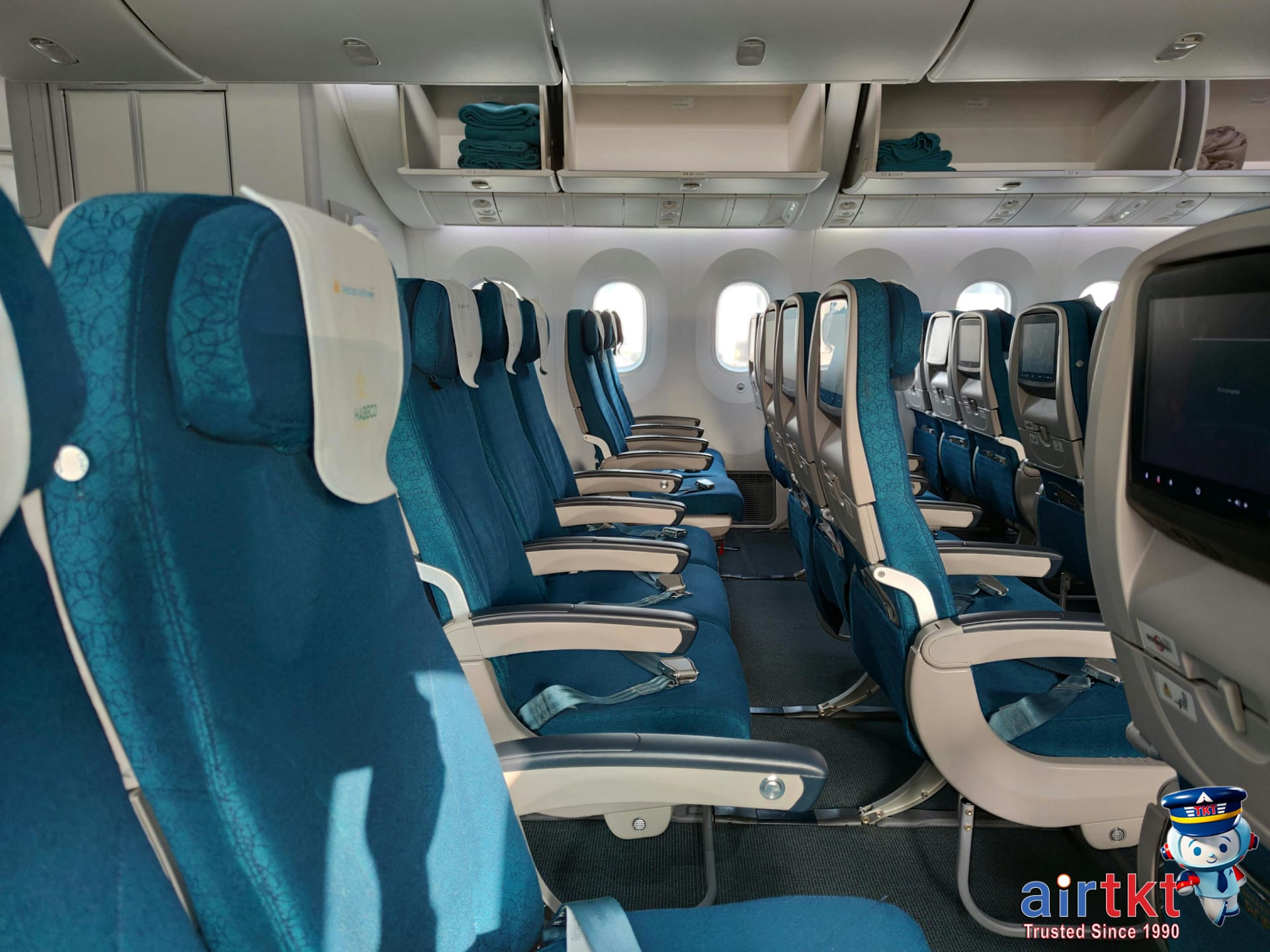 Airplane flying over mountains