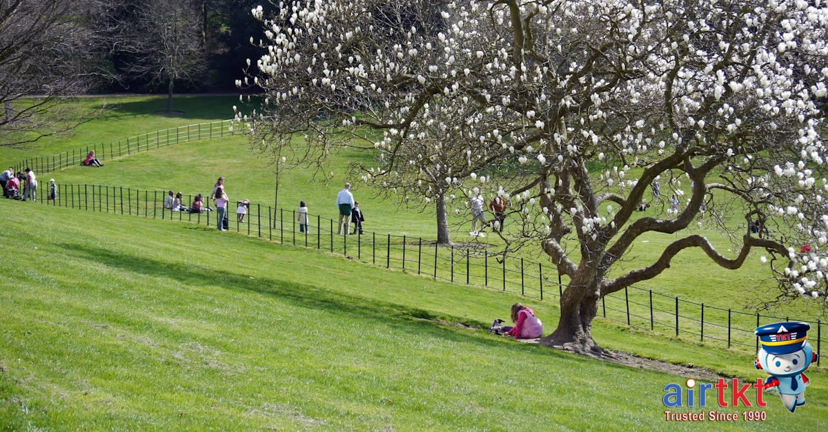 Spring family getaway destination with blossoming fields and blue skies