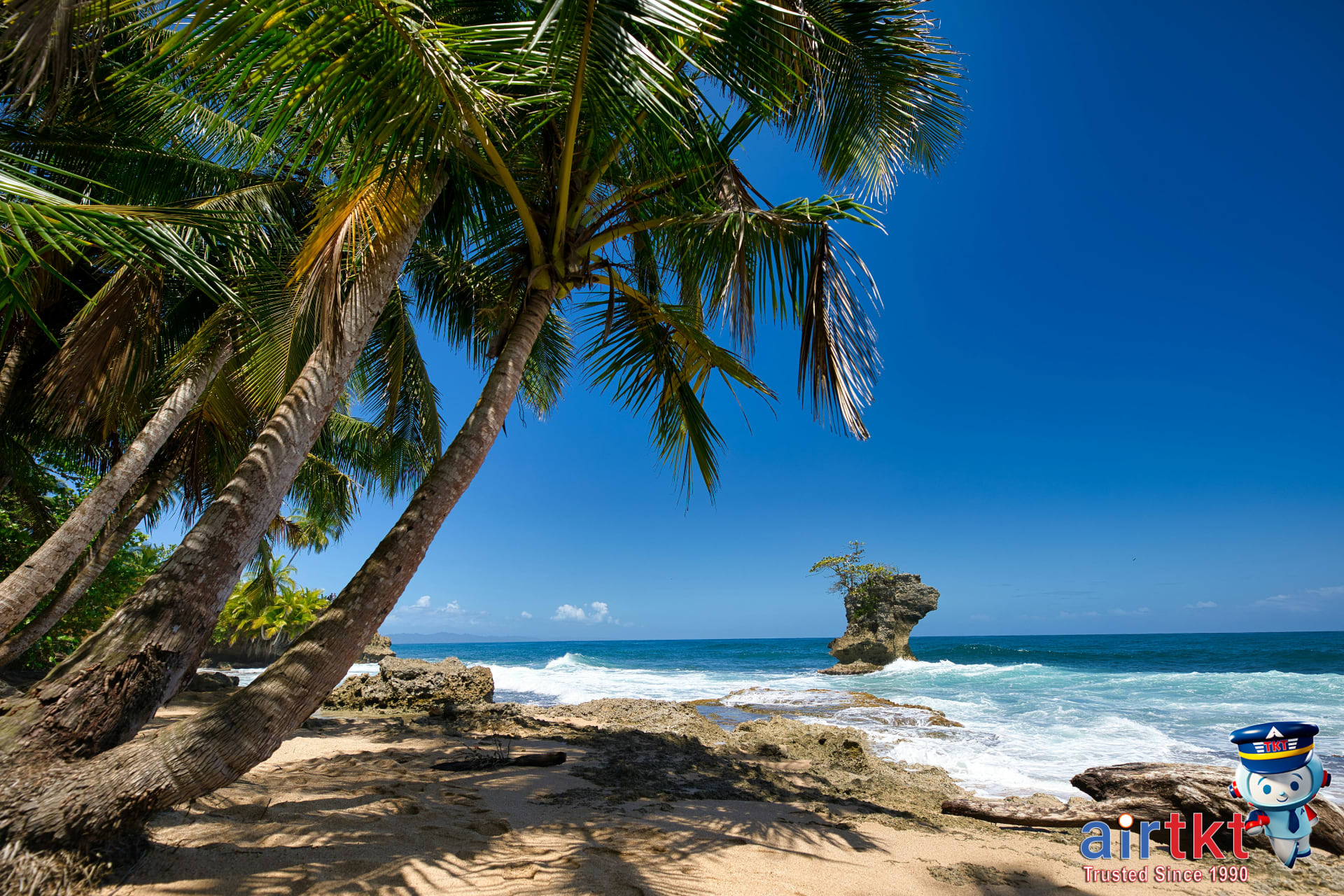 Pristine Costa Rica sandy beach with palm trees and clear blue ocean