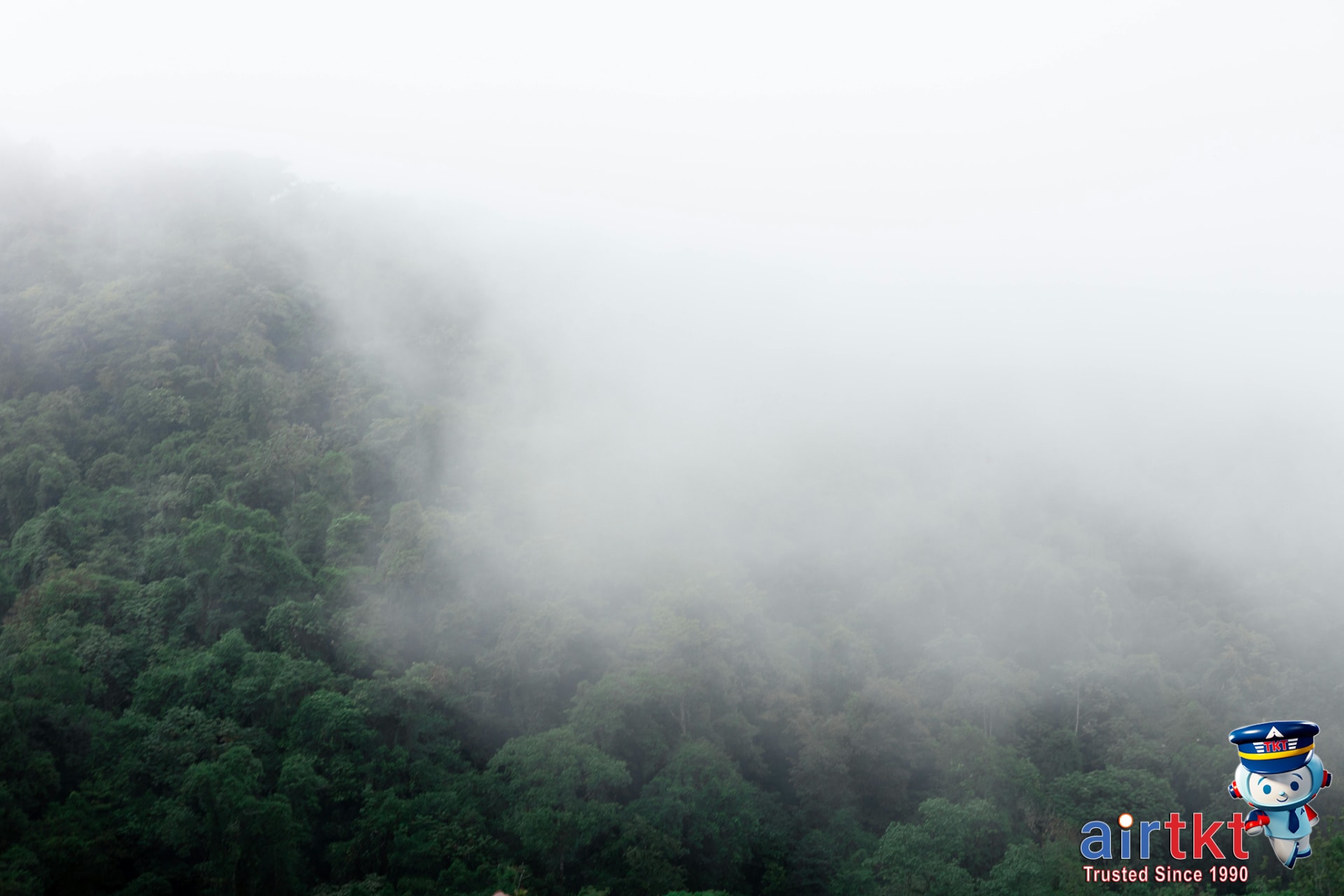 Dense Costa Rica rainforest canopy in morning mist creating mysterious jungle atmosphere