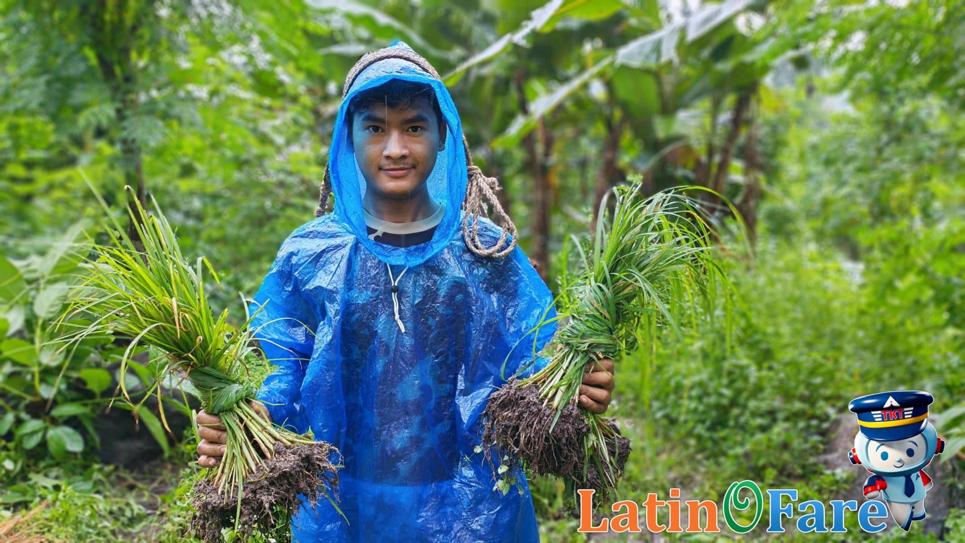 Local life and farming in Costa Rica during green season showing how communities adapt.