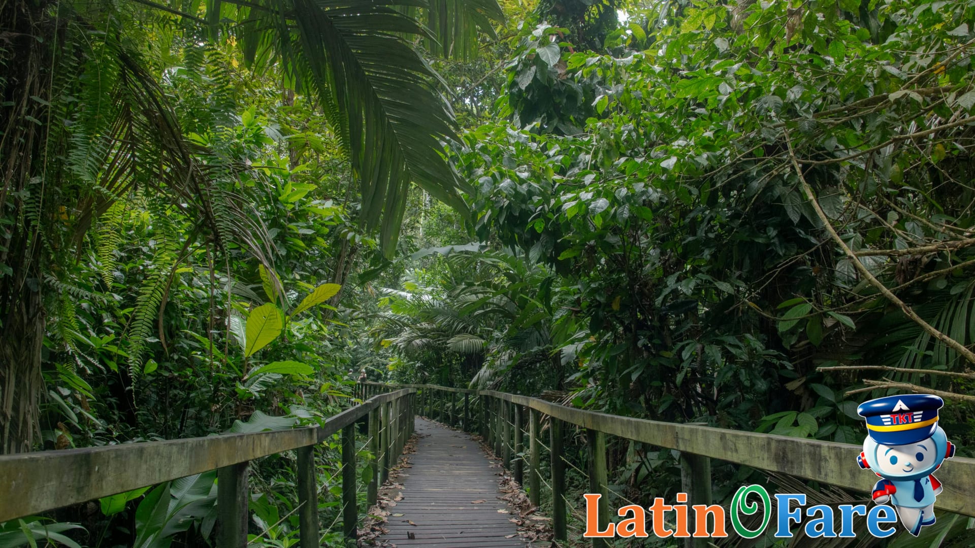 Lush Costa Rica rainforest during green season rainy weather for travelers seeking vibrant scenery.
