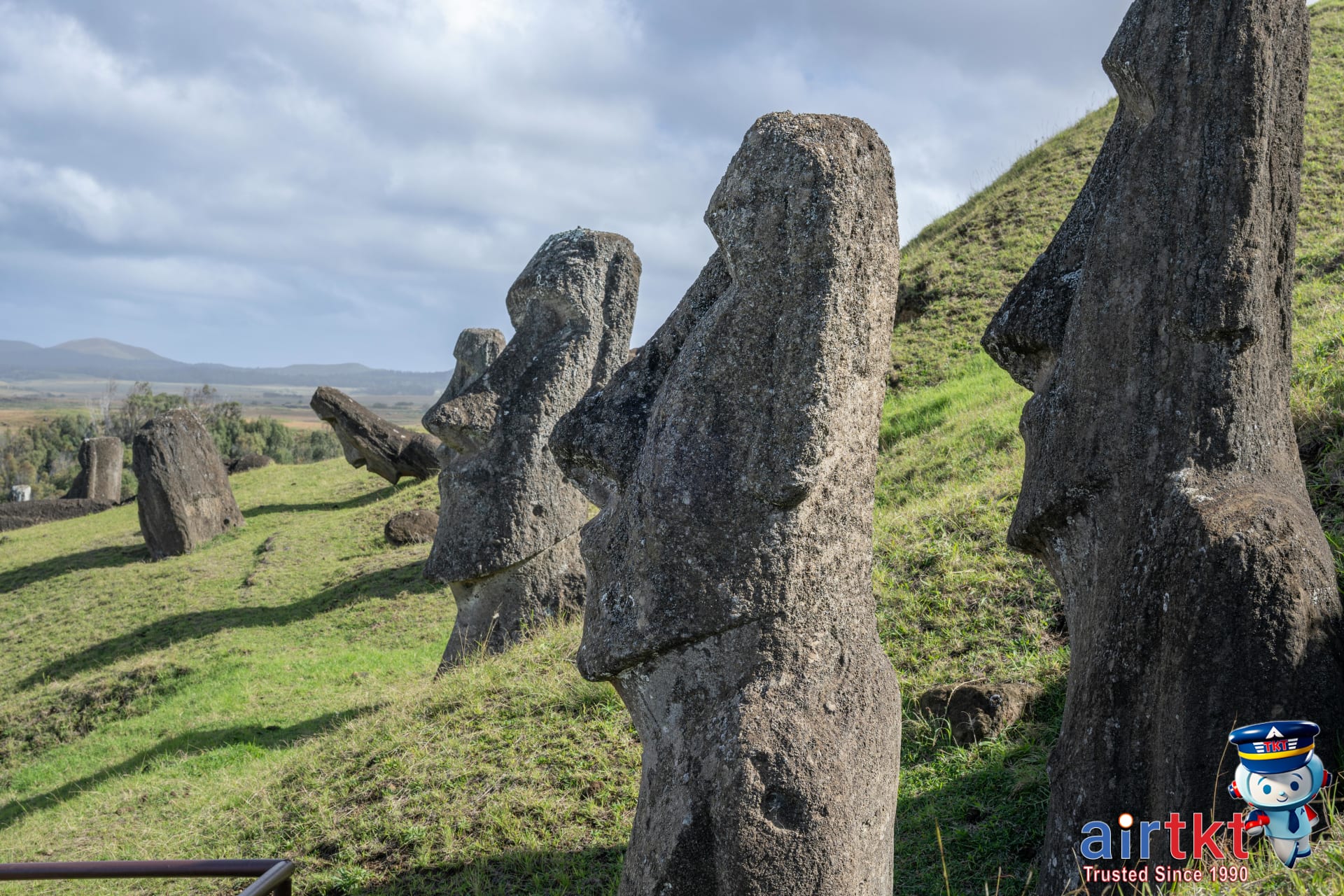 Moai statues line the hillside on Easter Island at sunrise with green grass and volcanic earth