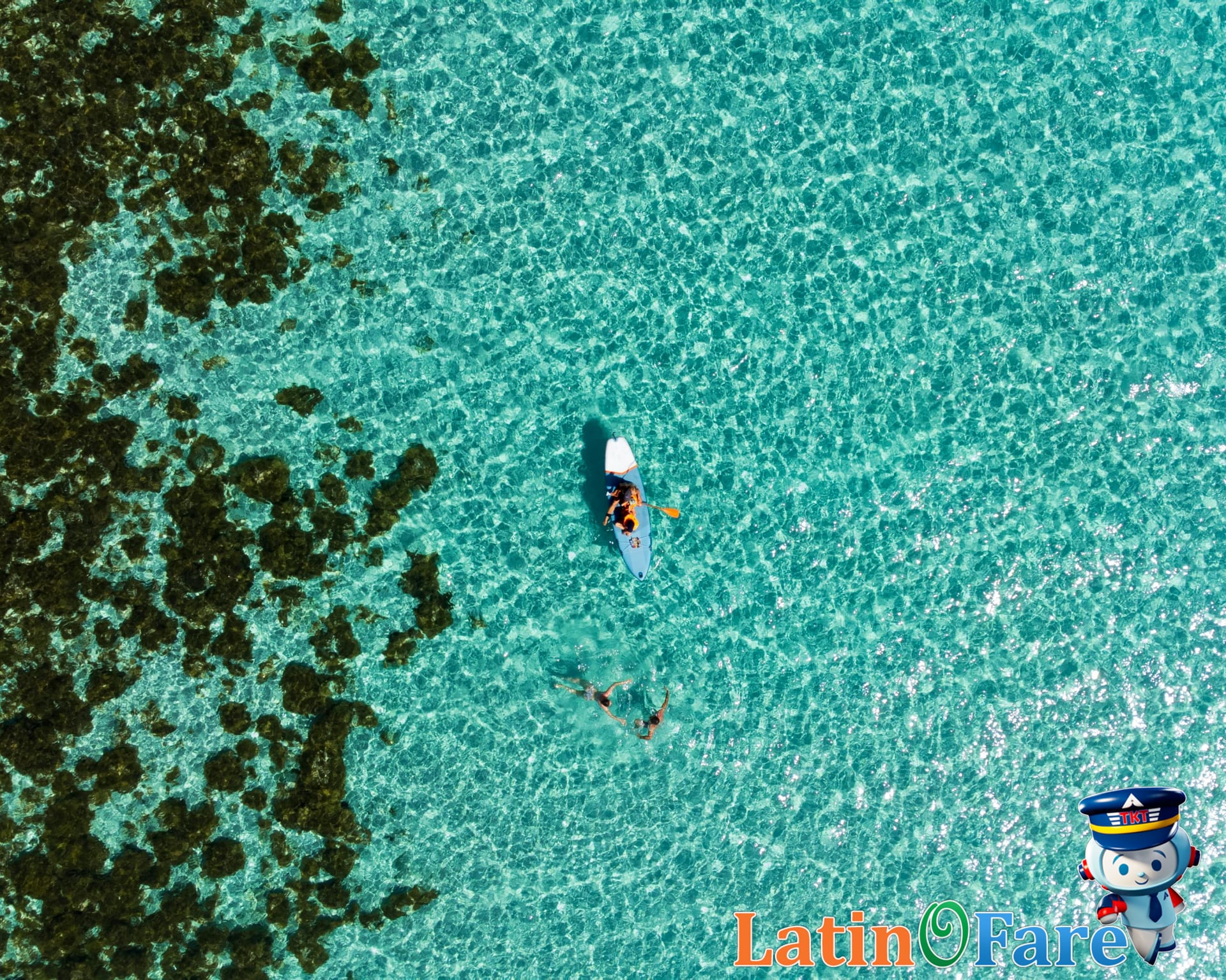 Kayaking in peaceful turquoise waters of Lower Keys beach area, surrounded by serene nature and wildlife.