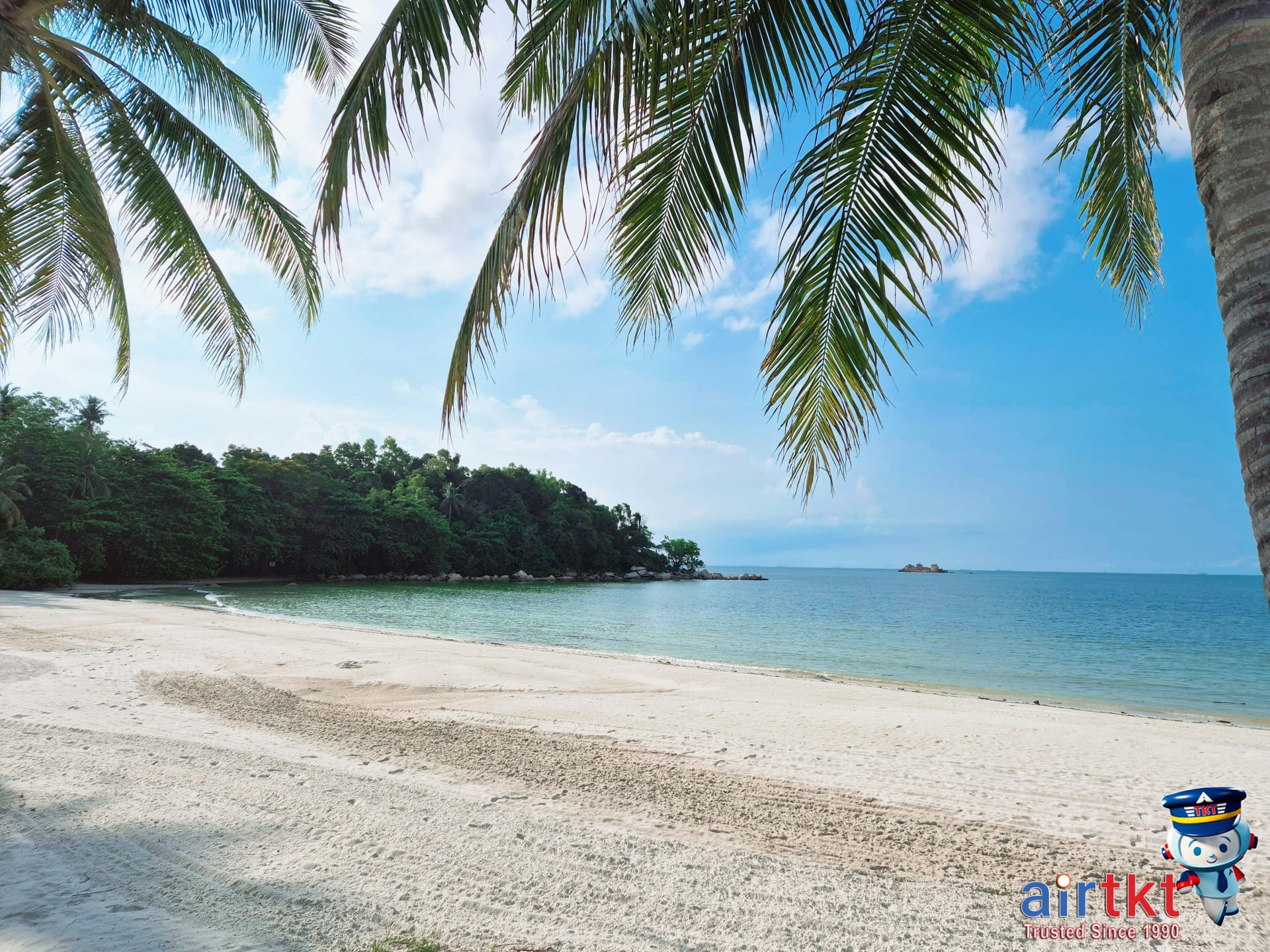 Tropical beach with palm trees and insect repellent for health safety