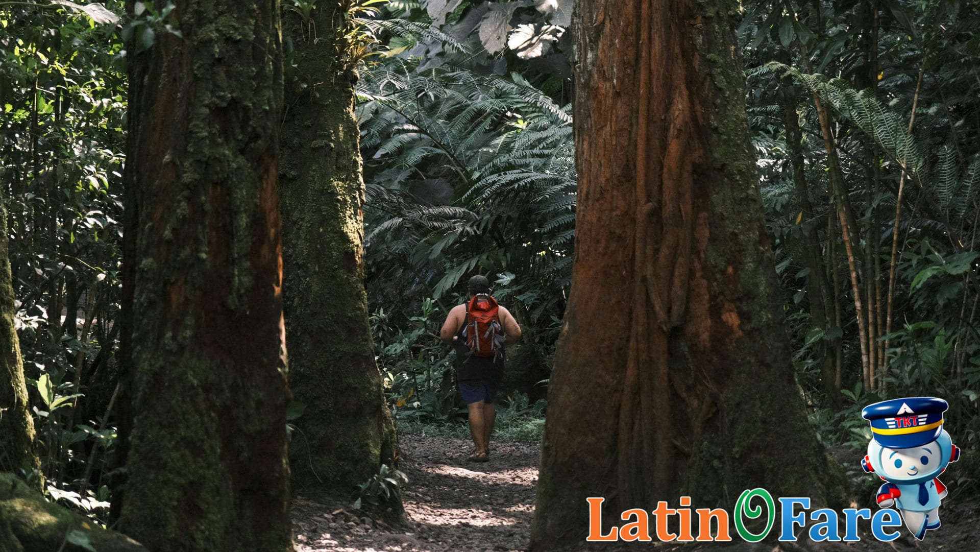 Backpacker explores Costa Rica rainforest trail, embracing pura vida lifestyle on arrival.