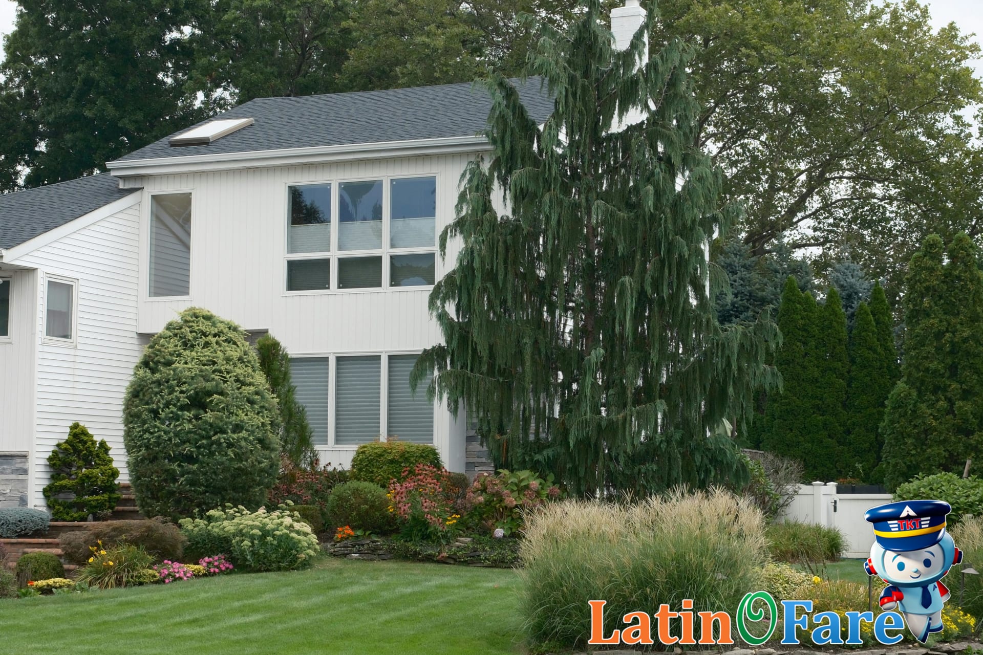 Airbnb rental with family-friendly outdoor amenities in suburban area for ideal Airbnb scenario