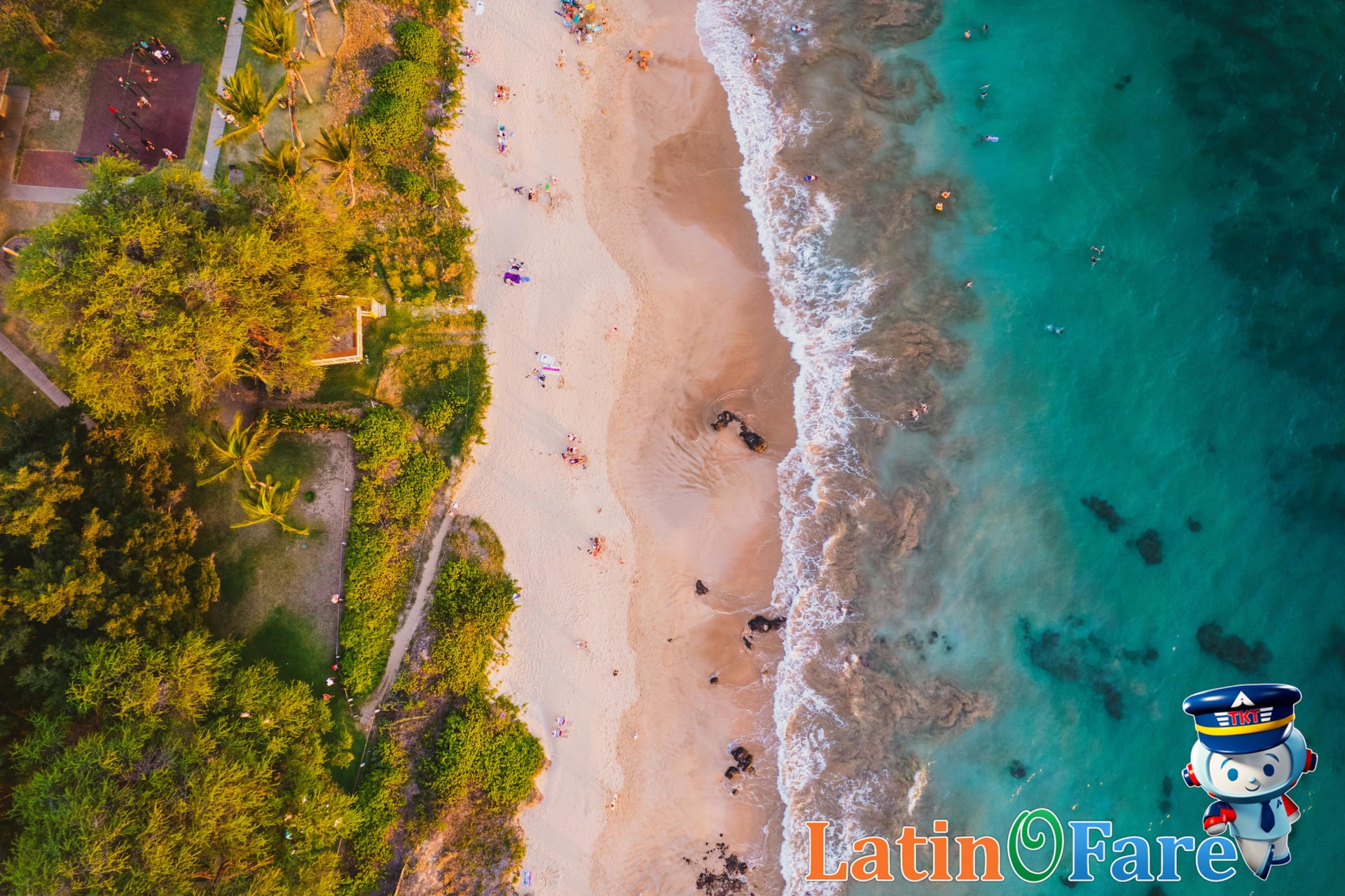 Wide view of Kaanapali Beach with palm trees and clear water, ideal for all Maui travelers.