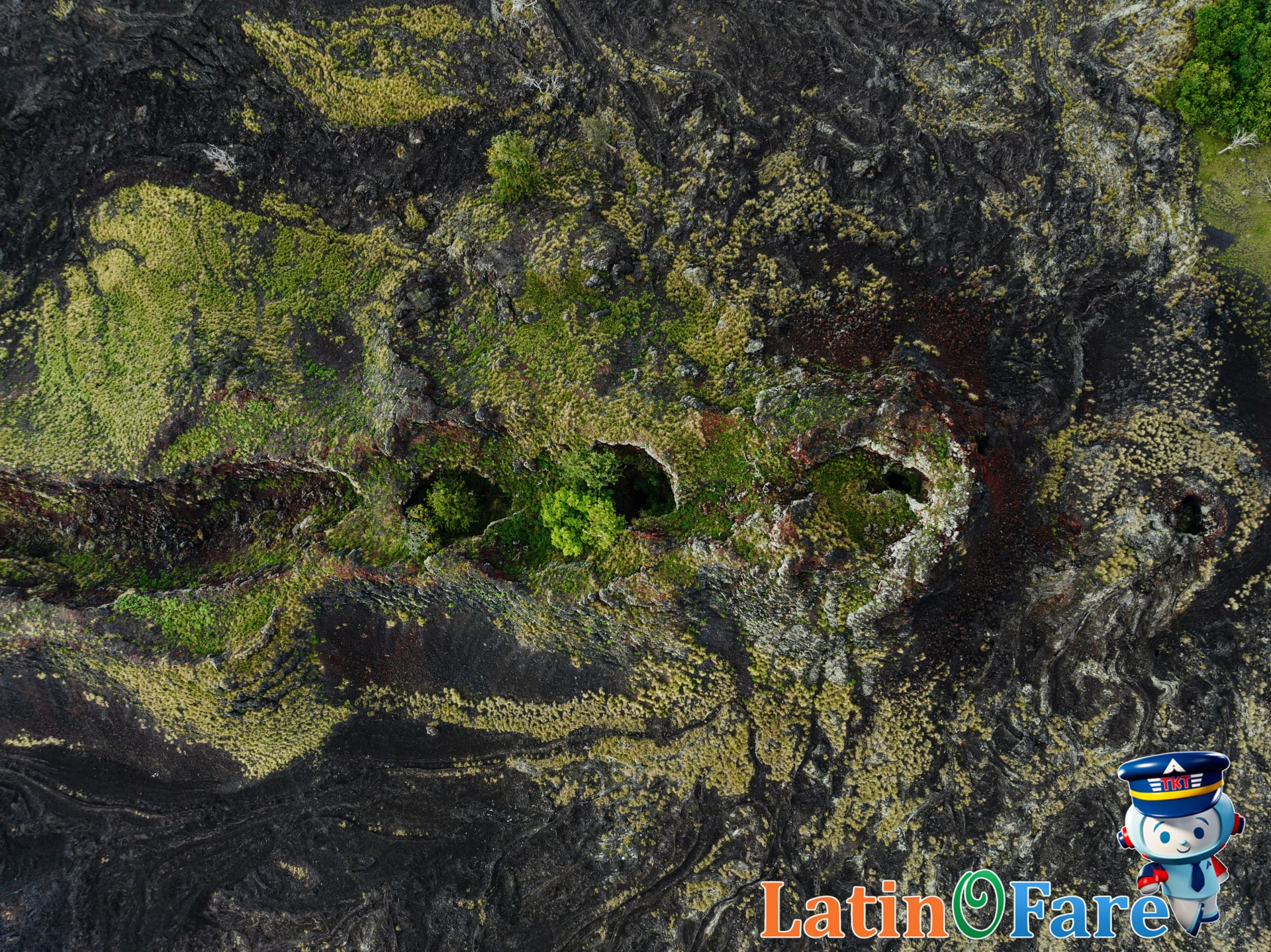 Aerial view of Maui's volcanic valleys and coastline highlighting the Valley Isle's dramatic beauty.