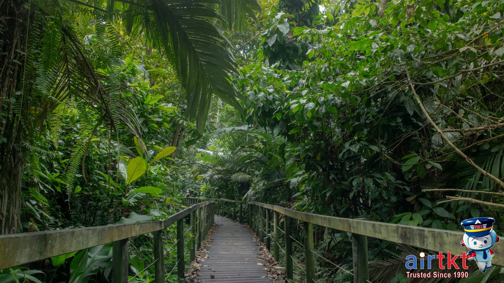 Eco-travelers hiking green season rainforest trails in Costa Rica jungle