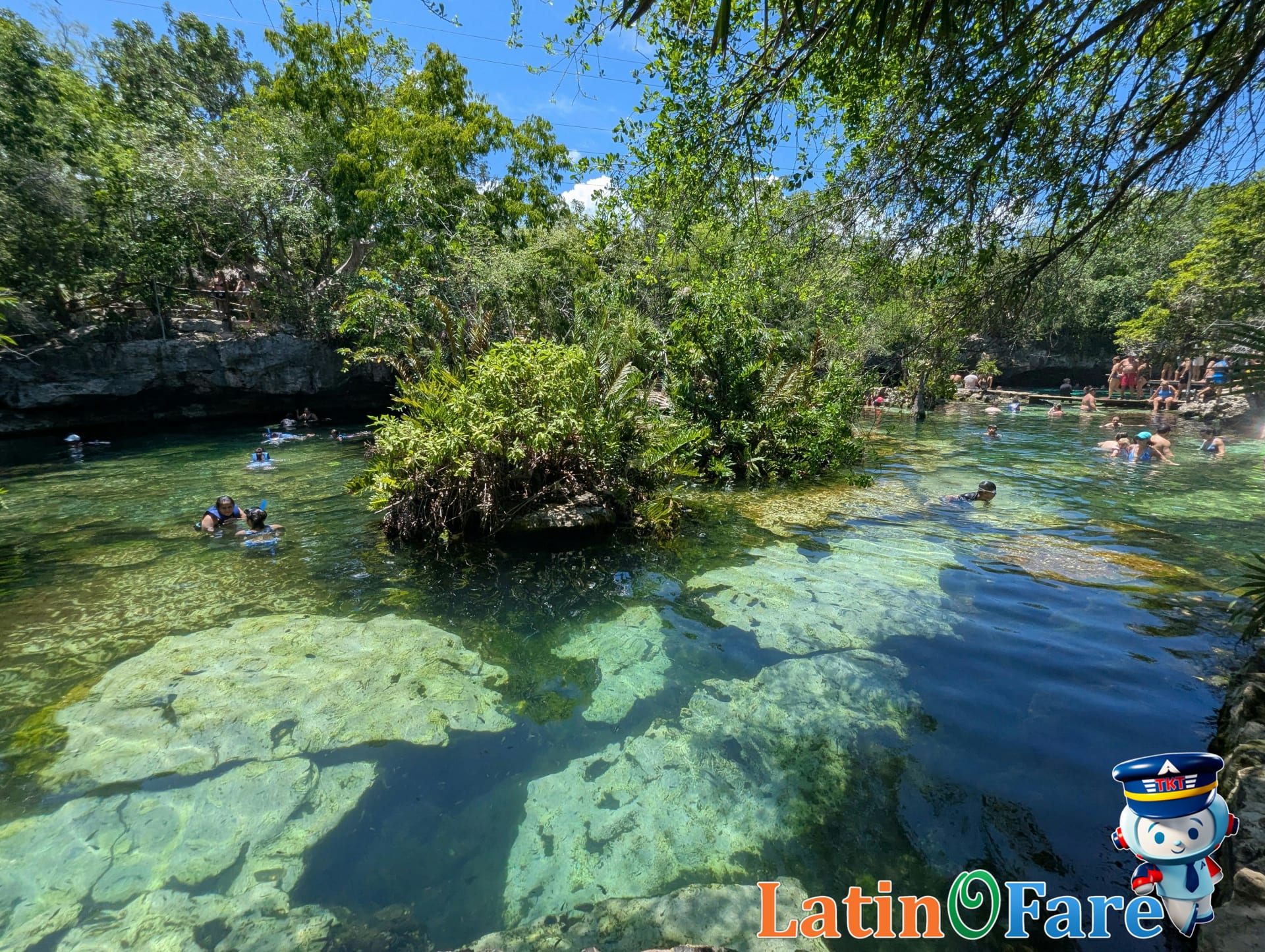 Riviera Maya coastline showcases lush greenery and turquoise ocean, ideal for Cancun day trips.